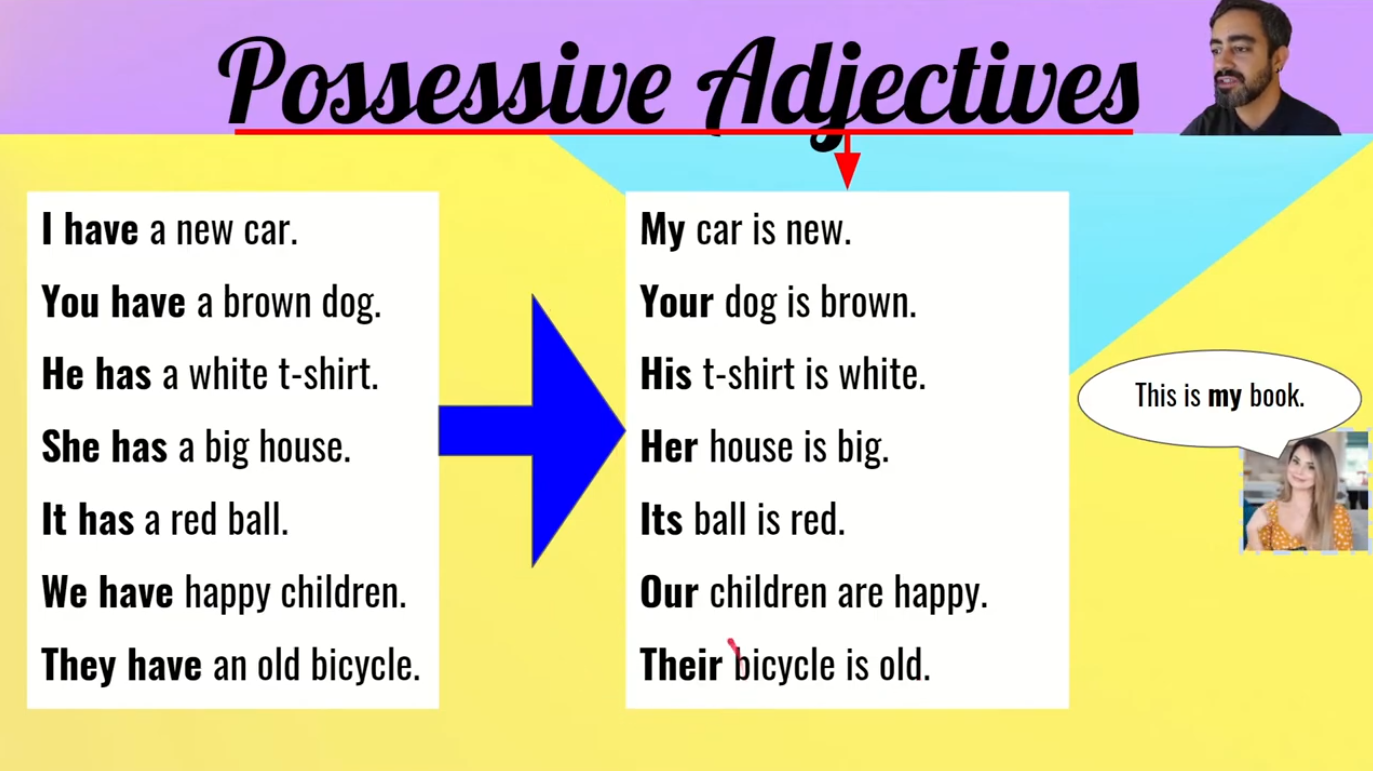 Possessive Adjectives – my, your, his, her, its, our, their